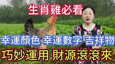 屬雞顏色|屬雞必看：幸運色改變你命運